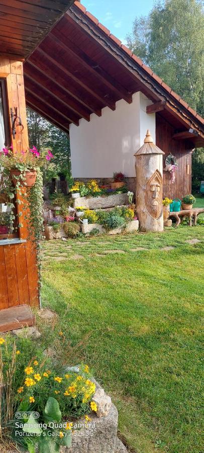 Ubytovani V Sumavskem Dome Nove Hute Exterior foto